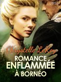 Romance enflammée à Bornéo - Une nouvelle érotique (eBook, ePUB)