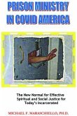 Prison Ministry in COVID America (eBook, ePUB)