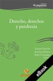 Derecho, derechos y pandemia (eBook, ePUB)