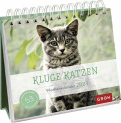 Kluge Katzen 2023 - Groh Verlag