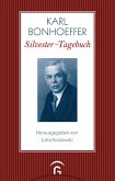 Silvester-Tagebuch (eBook, ePUB)