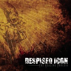 The Healing Process (Alternate Mix-Re-Issue+Bo - Despised Icon