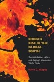 China's Rise in the Global South (eBook, ePUB)