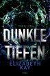 Dunkle Tiefen (eBook, ePUB) - Bild 1
