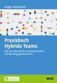 Praxisbuch Hybride Teams (eBook, PDF)