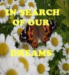 In Search of Our Dreams (eBook, ePUB) - Bild 1