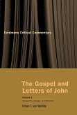 Gospel and Letters of John, Volume 1 (eBook, ePUB)