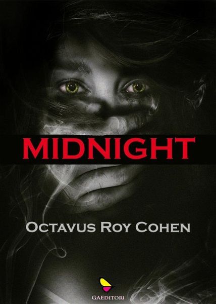 Midnight (eBook, ePUB)
