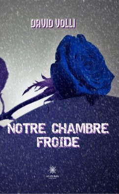 Notre chambre froide (eBook, ePUB) - Volli, David