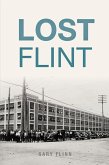 Lost Flint (eBook, ePUB)