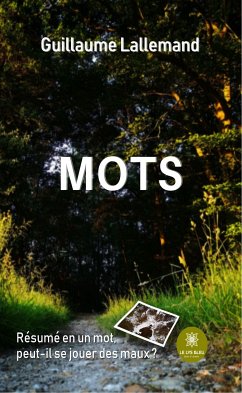 Mots (eBook, ePUB) - Lallemand, Guillaume