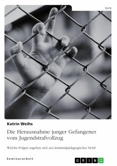 Die Herausnahme junger Gefangener vom Jugendstrafvollzug. Welche Folgen ergeben sich aus kriminalpädagogischer Sicht? (eBook, PDF) - Weihs, Katrin