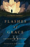 Flashes of Grace (eBook, ePUB)