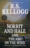 Norrit and Hale and the Ash on the Wind (eBook, ePUB)