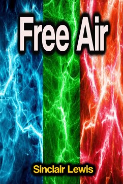 Free Air (eBook, ePUB) - Lewis, Sinclair