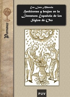 Cover Hechiceras y brujas en la literatura española de los Siglos de Oro (eBook, PDF)