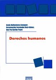 Derechos humanos (eBook, PDF)