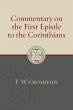 Commentary on the First Epistle to the... - Bild 1