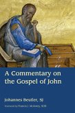 Commentary on the Gospel of John (eBook, ePUB)