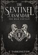 The Sentinel of Cassendar - Bild 1
