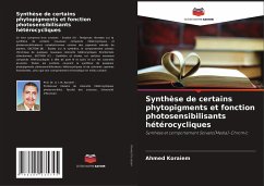 Synthèse de certains phytopigments et fonction photosensibilisants hétérocycliques - Koraiem, Ahmed