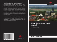 What future for small towns? - Bouillon, Nicolas