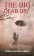 Big Dead Dry (eBook, ePUB) - Bild 1