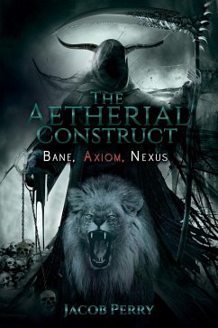 Aetherial Construct (eBook, ePUB) - Perry, Jacob