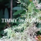 Timmy On Being (eBook, ePUB)