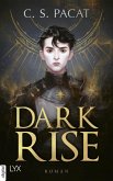 Dark Rise Bd.1 (eBook, ePUB)