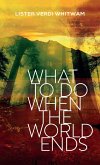 What to Do When the World Ends (eBook, ePUB)