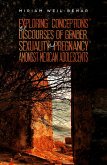 Exploring Conceptions and Discourses of Gender, Sexuality and Pregnancy Amongst Mexican Adolescents (eBook, ePUB)