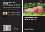 Conoscenza pratica della corrosione