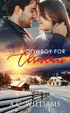 A Cowboy for Christmas (eBook, ePUB)