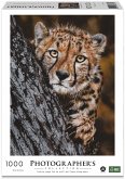 Ambassador 30783 - Photographers Collection, Gepard, Donal Boyd, Puzzle, 1000 Teile