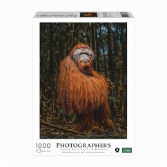 Ambassador 30786 - Photographers Collection, Orang-Utan, Donal Boyd, Puzzle, 1000 Teile