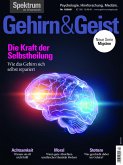 Gehirn&Geist 12/2021 Die Kraft der Selbstheilung (eBook, PDF)