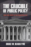 The Crucible of Public Policy (eBook, ePUB)