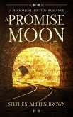 A Promise Moon (eBook, ePUB)