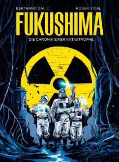 Fukushima (eBook, PDF) Cover Fukushima (eBook, PDF)