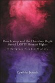 How Trump and the Christian Right Saved LGBTI Human Rights (eBook, ePUB)