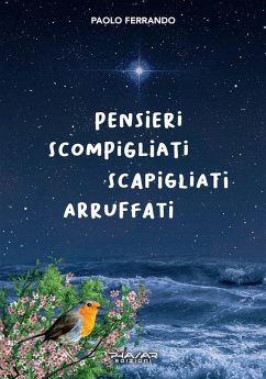 Pensieri scompigliati scapigliati arruffati (eBook, ePUB) - Ferrando, Paolo