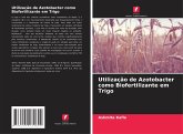 Utilização de Azotobacter como Biofertilizante em Trigo