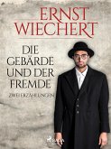 Die Gebärde und der Fremde - Zwei Erzählungen (eBook, ePUB)
