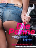 Die Panne (eBook, ePUB)