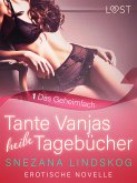 Tante Vanjas heiße Tagebücher 1: Das Geheimfach - Erotische Novelle (eBook, ePUB)