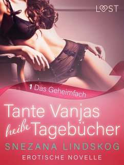 Tante Vanjas heiße Tagebücher 1: Das Geheimfach - Erotische Novelle (eBook, ePUB) - Lindskog, Snezana