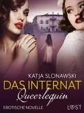 Queerlequin 14: Das Internat (eBook, ePUB)