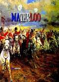 Waterloo (eBook, ePUB)