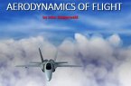 AERODYNAMICS FOR UNIVERSITY FLIGHT STUDENTS (eBook, ePUB)